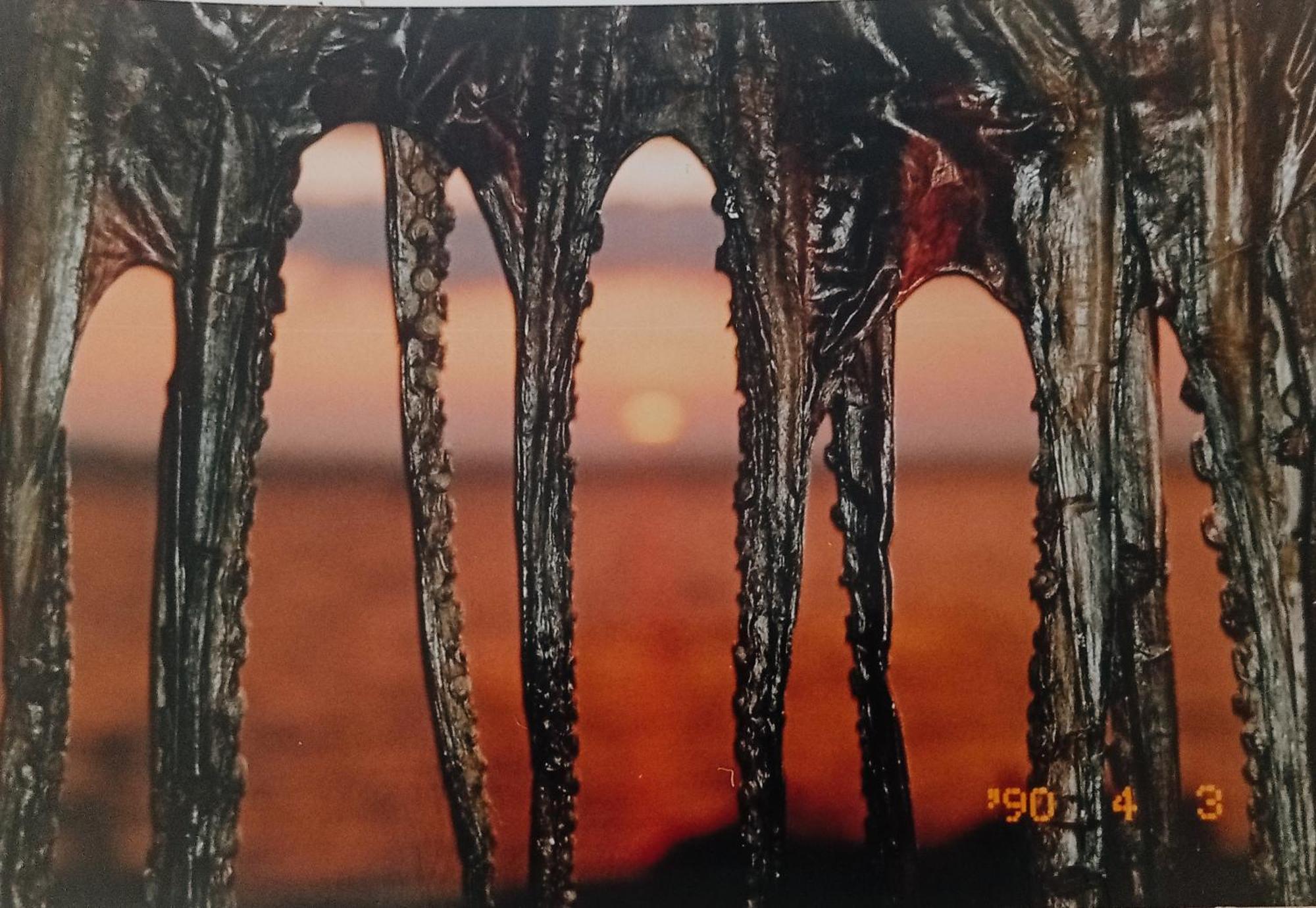 Apartmani Sollei Petrcane Bagian luar foto
